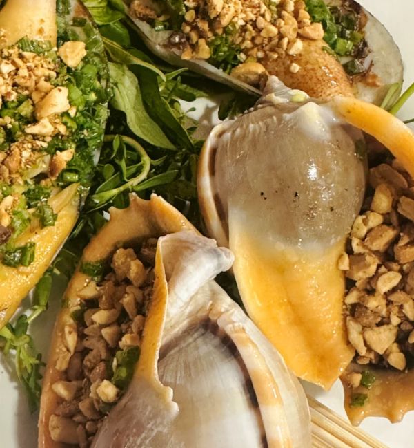 旅游路线日游最佳攻略｜非穷游？mg不朽情缘平台网站越南十三天(图3)