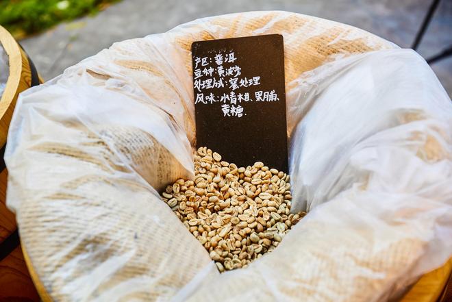 园体验咖啡文化深入了解背后的文化故事不朽情缘平台登录网页普洱北归咖啡庄