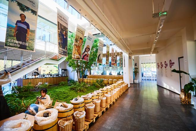 园体验咖啡文化深入了解背后的文化故事不朽情缘平台登录网页普洱北归咖啡庄(图4) 园体验咖啡文化深入了解背后的文化故事不朽情缘平台登录网页普洱北归咖啡庄(图4)